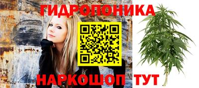 марихуана Краснознаменск