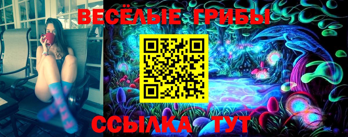 Клинцы  Галлюциногенные грибы MAGIC MUSHROOMS  дарнет шоп  Вход с VPN 