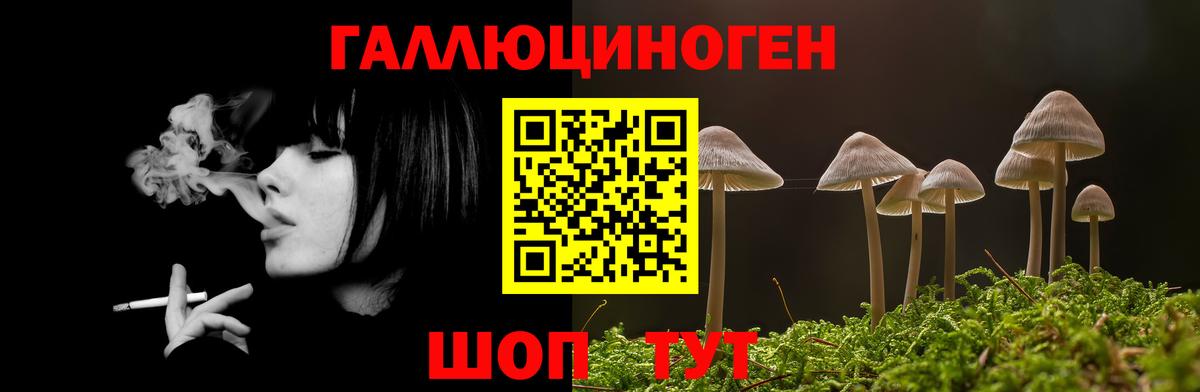 Псилоцибиновые грибы мицелий Клинцы
